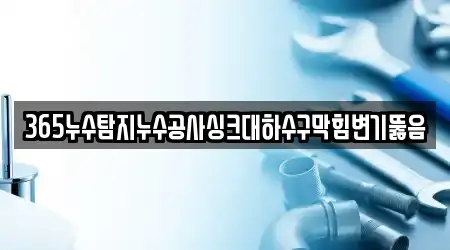 365누수탐지누수공사싱크대하수구막힘변기뚫음
