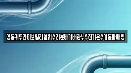 충청남도 공주 교동 누수 수리 3 전문 지도