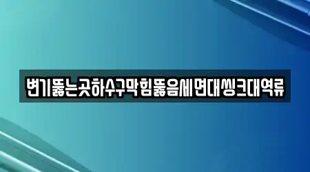 변기뚫는곳하수구막힘뚫음세면대씽크대역류