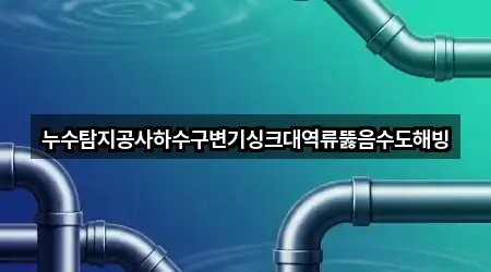 누수탐지공사하수구변기싱크대역류뚫음수도해빙