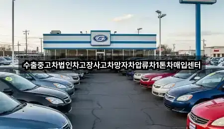 구좌읍중고차 상세 비교 3곳