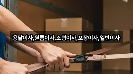 원클릭 조회: 정읍 산내면 포장이사 1곳