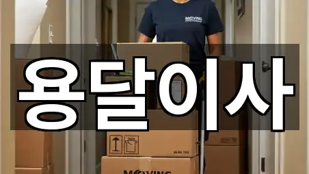 5곳 충청북도 주성동 용달이사 지금 보기