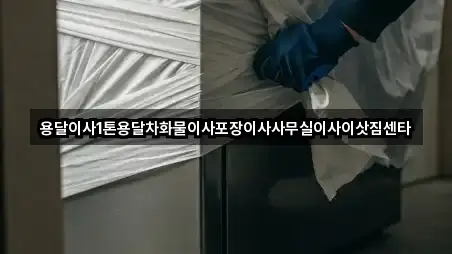 의왕 초평동 포장이사 5곳 위치 점검