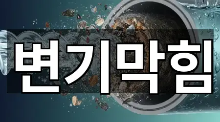 가까운 대구광역시 동문동 변기막힘 5곳