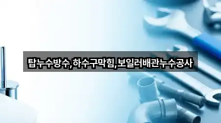 1곳 경북 안동 남문동 변기뚫음 거리순