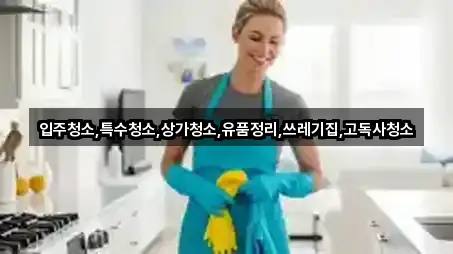 3곳 경북 오미동 상가청소 모아보기