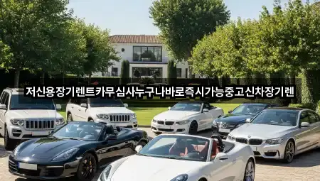 빠른 연결: 청주시 흥덕구 상신동장기렌트카 1곳
