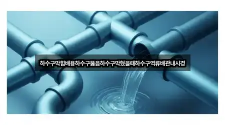 하수구막힘배용하수구뚫음하수구막혔을떼하수구역류배관내시경