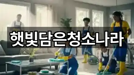 햇빛담은청소나라