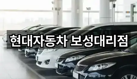 오늘 기준 전남 보성군 미력면 자동차전시장 1곳