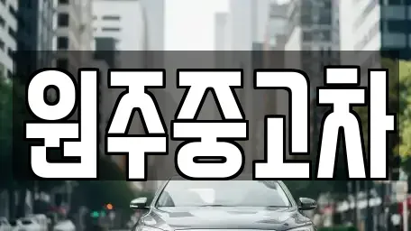 강원 원주시 판부면 중고차매매 전문 원주중고차