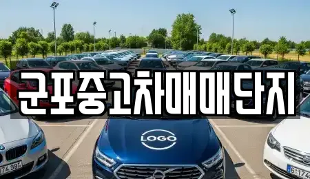 경기 군포시 중고차매매 전문 군포중고차매매단지