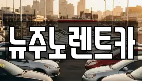 경기 김포시 고촌읍 장기렌트카 전문 뉴주노렌트카