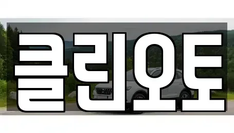 경기 수원시 장안구 천천동 중고차매매 전문 클린오토