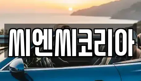 경기 오산시 내삼미동 단기렌트카,중고차매입,중고차매매,중고차,렌트카,장기렌트카