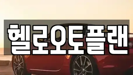 경기 오산시 내삼미동 장기렌트카 전문 헬로오토플랜