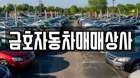 경기 오산시 내삼미동 중고차매매 전문 금호자동차매매상사