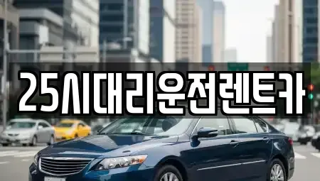 경기 용인시 처인구 원삼면 렌트카 전문 25시대리운전렌트카