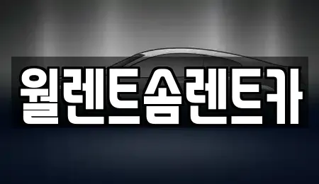 경기 용인시 처인구 원삼면 렌트카 전문 월렌트솜렌트카