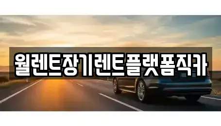 경기 용인시 처인구 원삼면 렌트카 전문 월렌트장기렌트플랫폼직카