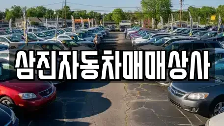 경기 용인시 처인구 원삼면 중고차매매 전문 삼진자동차매매상사