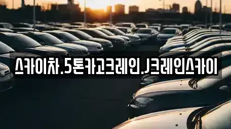 경기 용인시 처인구 원삼면 중고차매매 전문 스카이차.5톤카고크레인.J크레인스카이