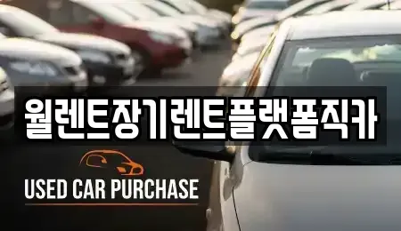 경기 하남시 감이동 장기렌트카 전문 월렌트장기렌트플랫폼직카