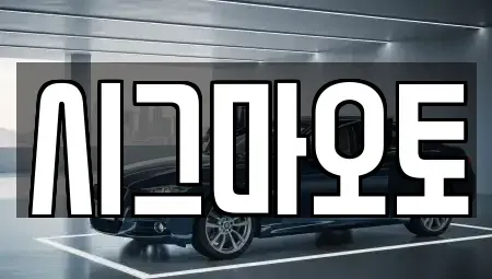 경기도 부천시 원미구 중동 단기렌트카 전문 시그마오토