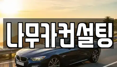 경기도 부천시 원미구 중동 장기렌트카 전문 나무카컨설팅