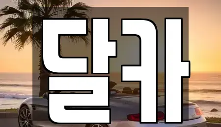 경기도 수원시 팔달구 매산로2가 단기렌트카 전문 달카