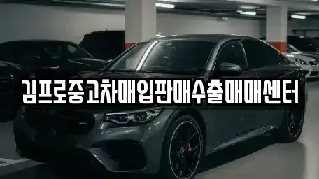 경기도 수원시 팔달구 매산로2가 중고차매입 전문 김프로중고차매입판매수출매매센터