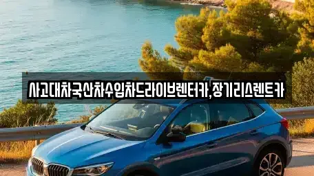 경기도 시흥시 화정동 렌트카,단기렌트카,장기렌트카,중고차,중고차매매,중고차매입