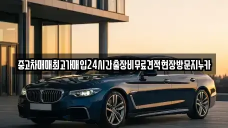 경기도 시흥시 화정동 중고차매매 전문 중고차매매최고가매입24시간출장비무료견적현장방문지누카