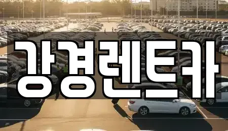경기도 양주시 단기렌트카 전문 강경렌트카