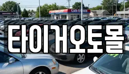 경기도 양주시 중고차 전문 타이거오토몰