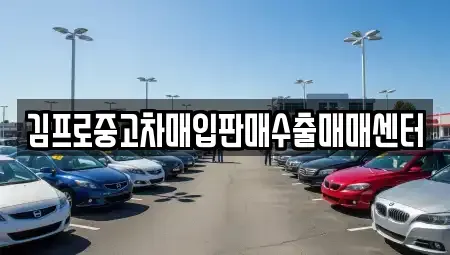 경기도 양주시 중고차매입 전문 김프로중고차매입판매수출매매센터