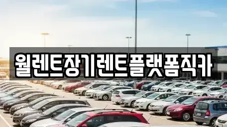 경기도 하남시 항동 장기렌트카 전문 월렌트장기렌트플랫폼직카