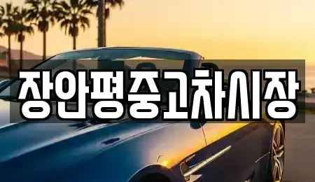 경기도 하남시 항동 중고차 전문 장안평중고차시장