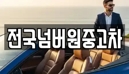 경기도 하남시 항동 중고차 전문 전국넘버원중고차