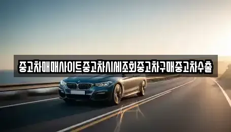 경기도 하남시 항동 중고차매매 전문 중고차매매사이트중고차시세조회중고차구매중고차수출