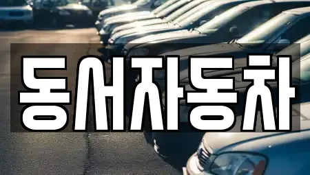 경상남도 창원시 마산합포구 대성동1가 중고차 전문 동서자동차