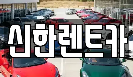 경상남도 창원시 마산합포구 장군동1가 렌트카 전문 신한렌트카