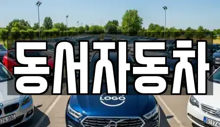 경상남도 창원시 마산합포구 장군동1가 중고차 전문 동서자동차