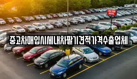 경상남도 창원시 마산회원구 중고차매입 전문 중고차매입시세내차팔기견적가격수출업체