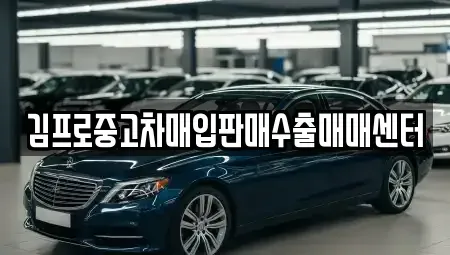 경상남도 창원시 의창구 소답동 중고차매입 전문 김프로중고차매입판매수출매매센터