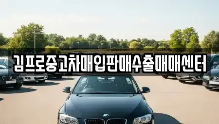 경상남도 창원시 진해구 평안동 중고차매매 전문 김프로중고차매입판매수출매매센터