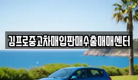 경상북도 상주시 무양동 중고차매매 전문 김프로중고차매입판매수출매매센터