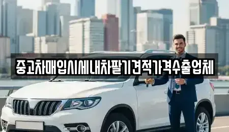 경상북도 상주시 무양동 중고차매매,단기렌트카,중고차매입,장기렌트카,중고차,렌트카