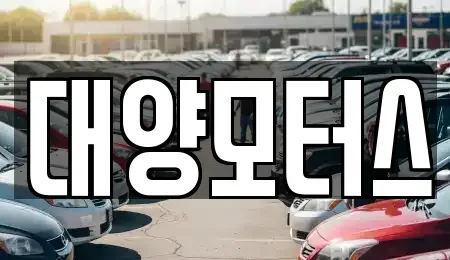 광주 북구 양산동 중고차 전문 대양모터스